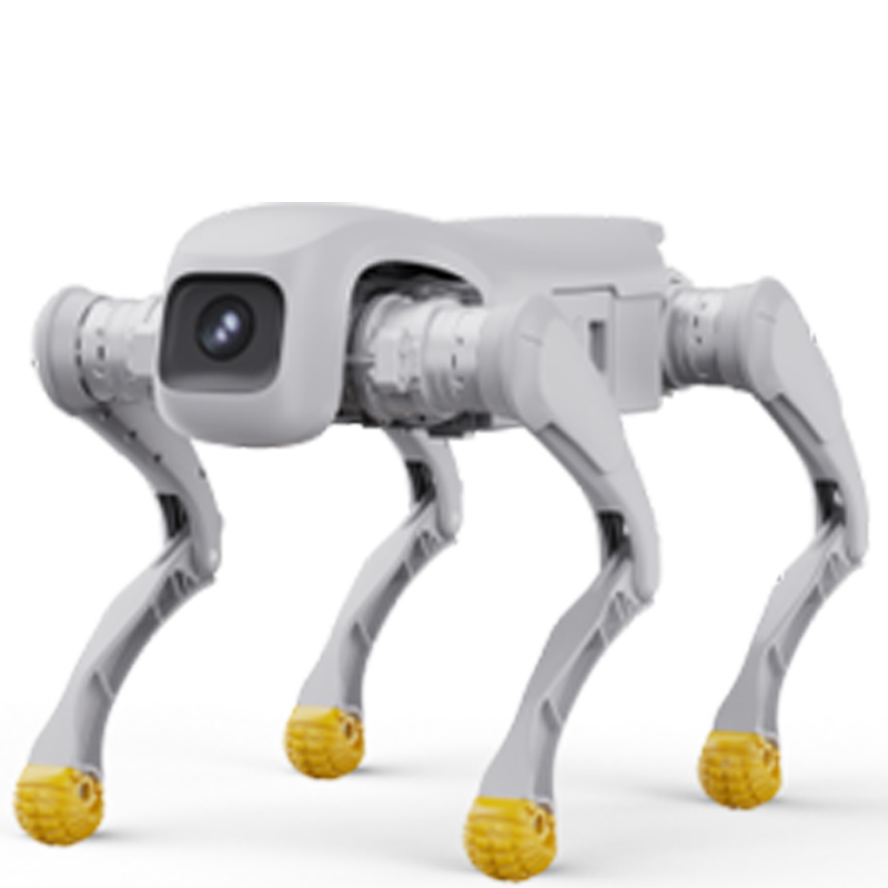 D1 Pro/Edu